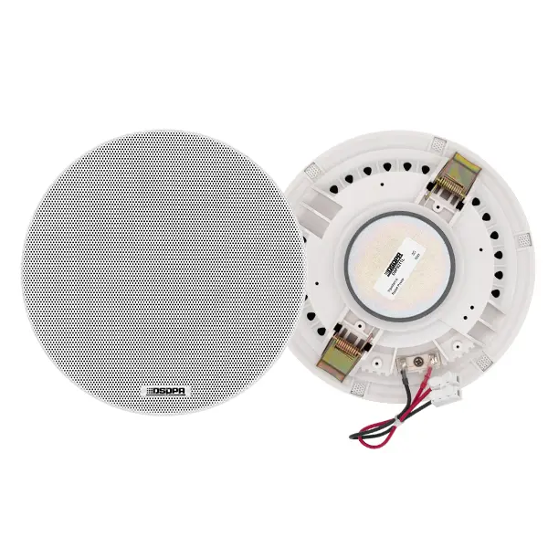 dsp5011l-6.5-inch-frameless-ceiling-speaker-1.webp