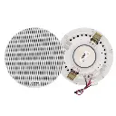 dsp5011l-6.5-inch-frameless-ceiling-speaker-1.webp