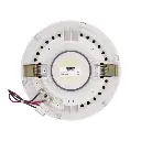 dsp6011l-6.5-frameless-ceiling-speaker-2.webp