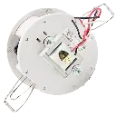 2.webp