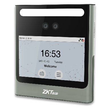 ZKTeco EFace10 Visible Light Face Time Attendance & Access T 1