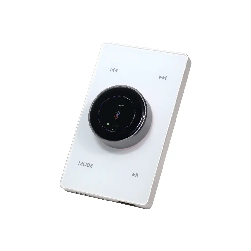 Master Team Wall Amplifer 100W With Volume Control (White)