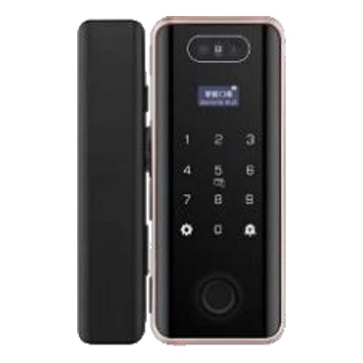 PNDA PNDA TFACE Smart Lock for Metal Doors, Tuya Wi-Fi, Face + Fingerprint