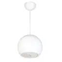 DSPPA 15W Pendant Type Sound Projector