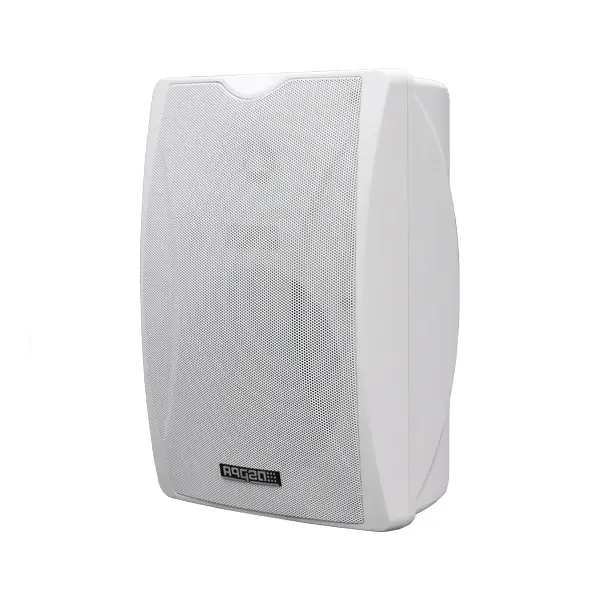 DSPPA 2x10W POE Wall Mount Speaker