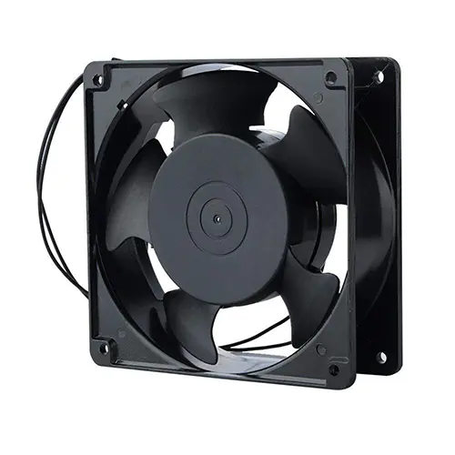 FAN