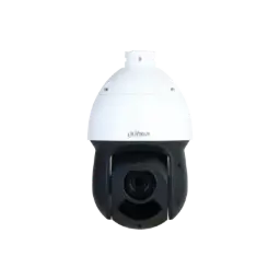 [SD49225DB-HNY] Dahua 2MP 25x Starlight IR Network PTZ Camera