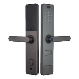 [LEZN K80 Gold] LEZN K80 Gold Smart Door Lock, Tuya App, Fingerprint / Password / Card, Champagne Gold