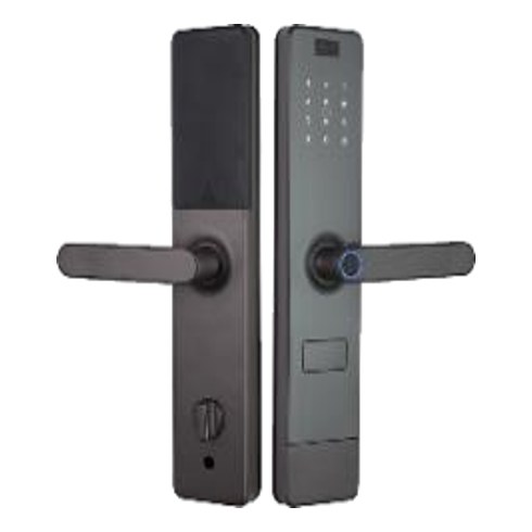 [LEZN K80 Gold] LEZN K80 Gold Smart Door Lock, Tuya App, Fingerprint / Password / Card, Champagne Gold