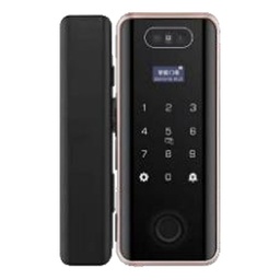 [PNDA TFACE] PNDA PNDA TFACE Smart Lock for Metal Doors, Tuya Wi-Fi, Face + Fingerprint