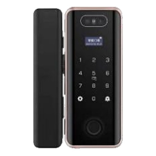 [PNDA TFACE] PNDA PNDA TFACE Smart Lock for Metal Doors, Tuya Wi-Fi, Face + Fingerprint