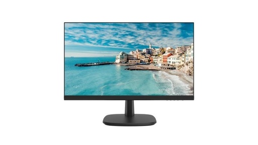 [DS-D5024FN] Hikvision DS-D5024FN 23.8 inch FHD Borderless Monitor