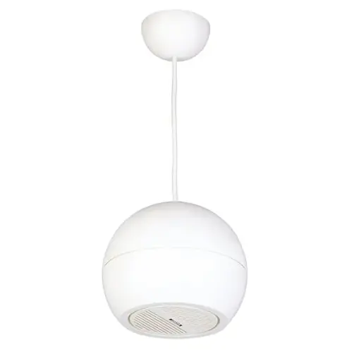 [DSP107W] DSPPA 15W Pendant Type Sound Projector
