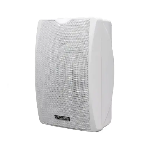 [POE6463W] DSPPA 2x10W POE Wall Mount Speaker
